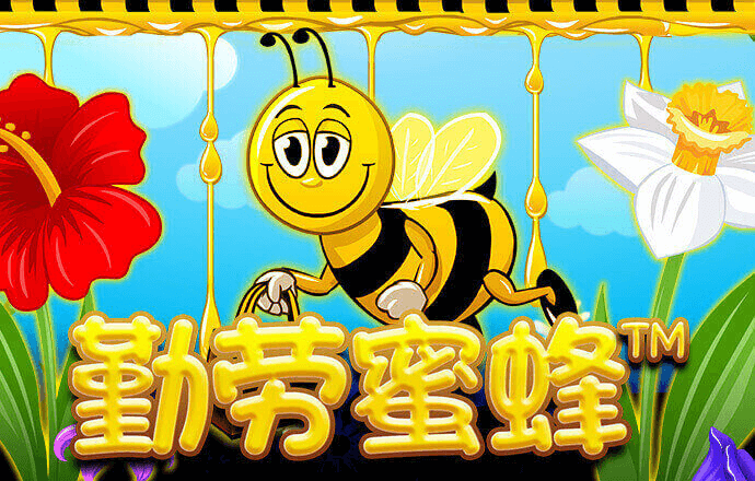 missav下载